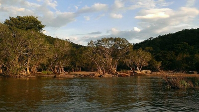 Cauvery Wildlife Sanctuary