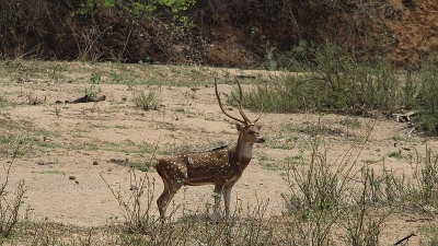 Sitanadi Wildlife Sanctuary