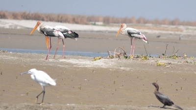 Hastinapur Sanctuary