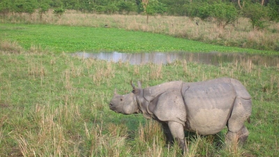 Pabha Sanctuary