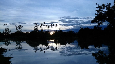 Laokhowa Wildlife Sanctuary