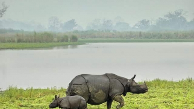 Bornadi Wildlife Sanctuary