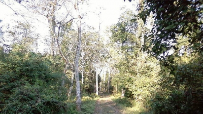 Burachapori Wildlife Sanctuary