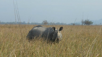 Amchang Wildlife Sanctuary