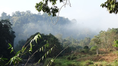 Borail Wildlife Sanctuary