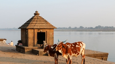 Maheshwar Ghats (Peshwa, Ahilya And Fenese Ghat)