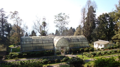 Lloyd's Botanical Garden/ 2023