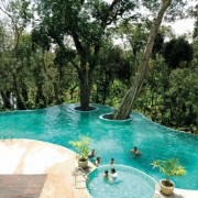 Windflower Resort