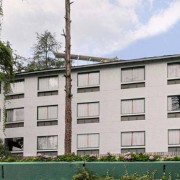 Honeymoon Inn