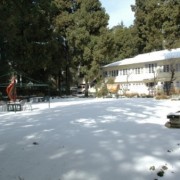 Carlton Plaisance