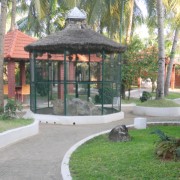 Green Coconut Resort