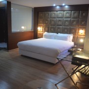 Hotel Patliputra Exotica