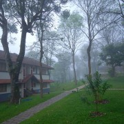 Green Woods Resort