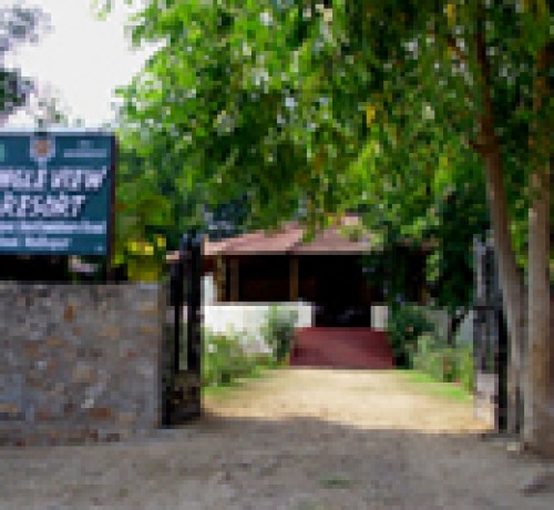 Jungle View Resort Jungle View Resort