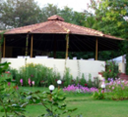 Jungle View Resort Jungle View Resort
