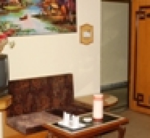 Hotel Shankar Palace