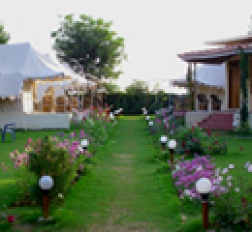 Jungle View Resort Jungle View Resort