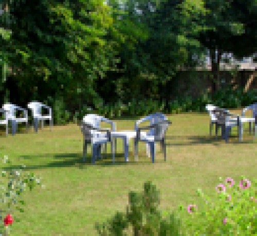 Jungle View Resort Jungle View Resort