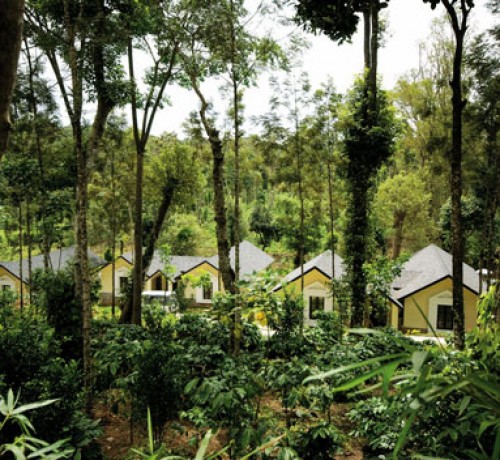 Windflower Resort