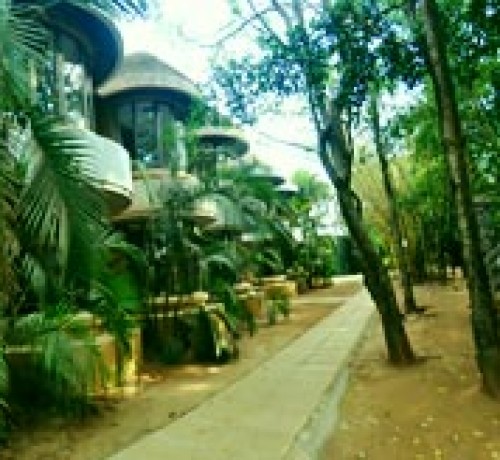Treasure Island Resort Treasure Island Resort