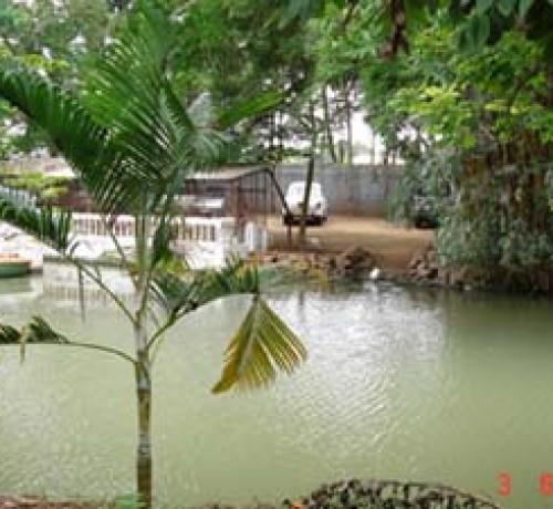 Amblee Resort Amblee Resort