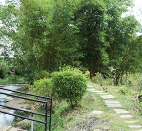 Cauvery Sannidhi for Indian Culture Cauvery Sannidhi for Indian Culture