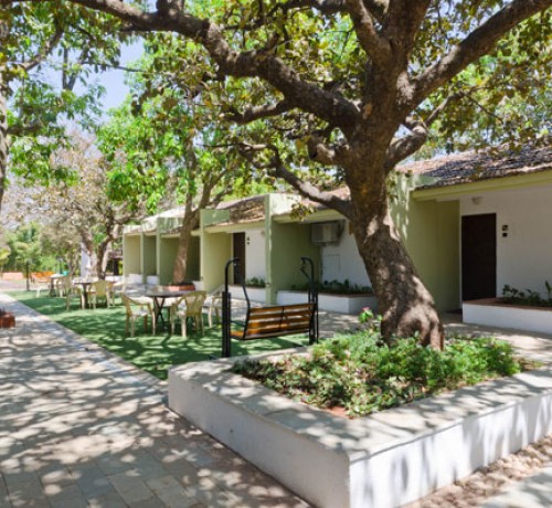 Saj Resort