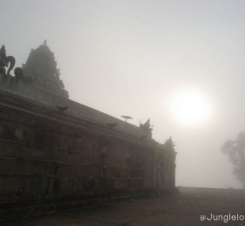 Bandipur Safari Lodge