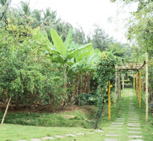 Cauvery Sannidhi for Indian Culture Cauvery Sannidhi for Indian Culture
