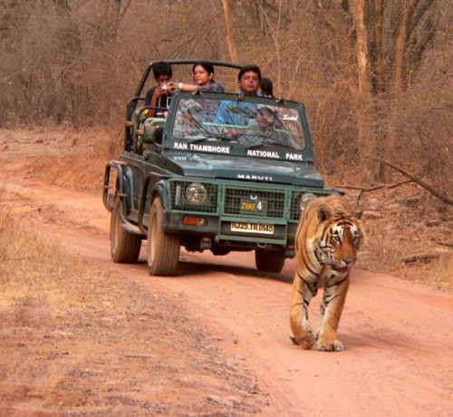 Abrar Palace and Jungle Camps