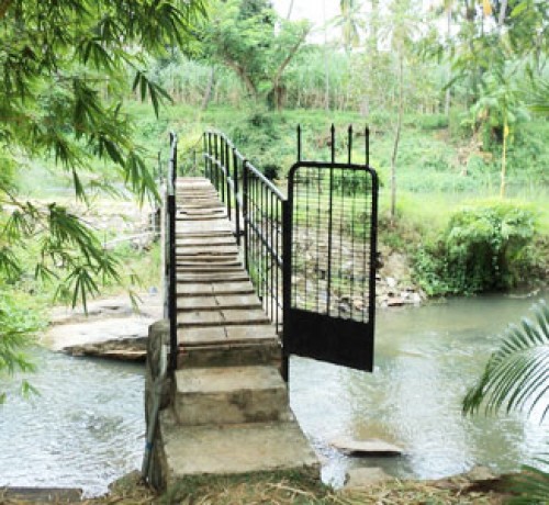 Cauvery Sannidhi for Indian Culture Cauvery Sannidhi for Indian Culture