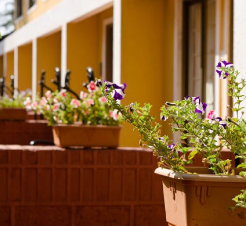Saj Resort