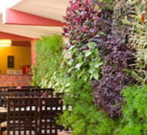 Saj Resort