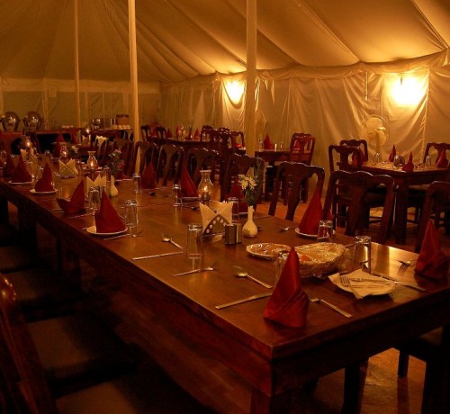 Abrar Palace and Jungle Camps