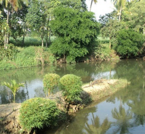 Cauvery Sannidhi for Indian Culture Cauvery Sannidhi for Indian Culture