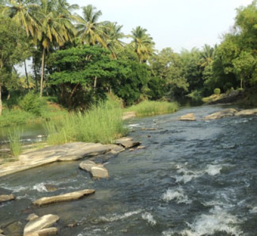 Cauvery Sannidhi for Indian Culture Cauvery Sannidhi for Indian Culture