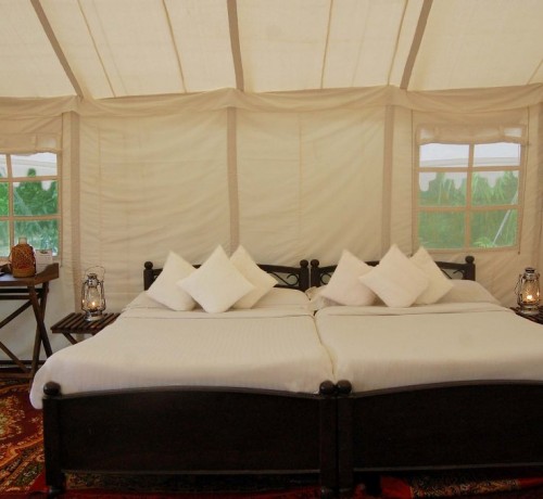 Abrar Palace and Jungle Camps