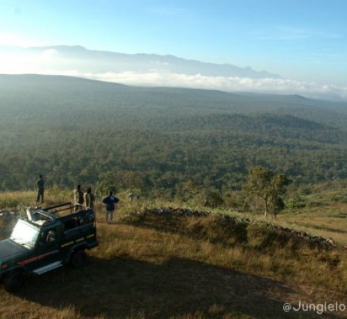 Bandipur Safari Lodge