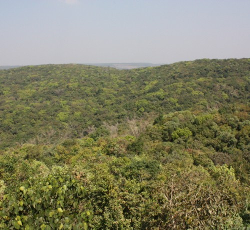 Canopy Machan Canopy Machan