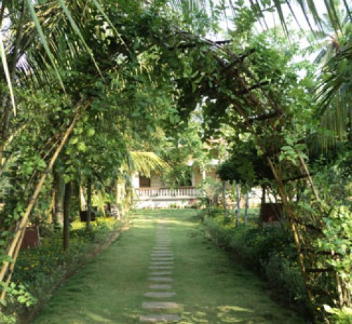 Cauvery Sannidhi for Indian Culture Cauvery Sannidhi for Indian Culture