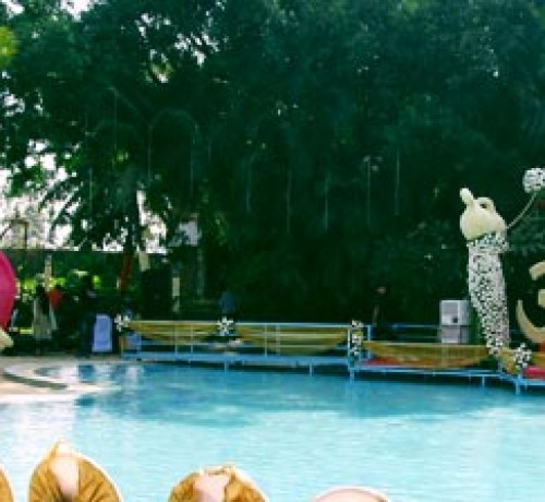 Treasure Island Resort Treasure Island Resort