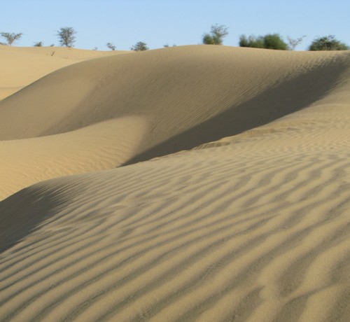 Sand dunes surrounding the resort Sand dunes surrounding the resort