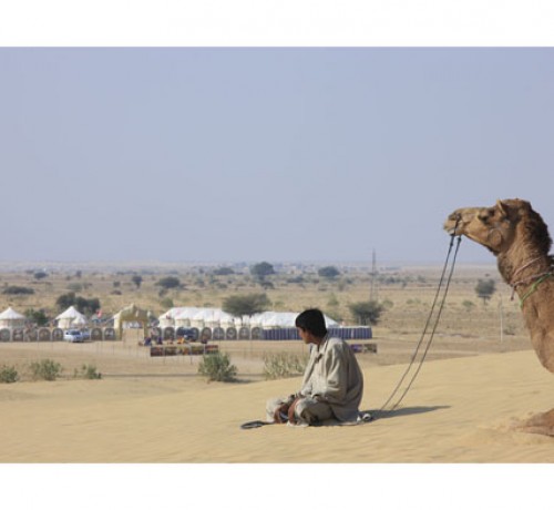 Camel safari Camel safari