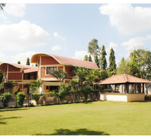 Lawn Lawn