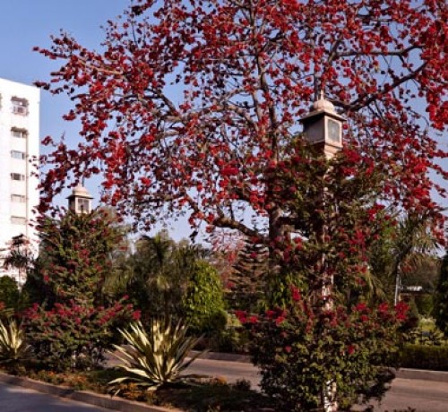 Hotel Hotel