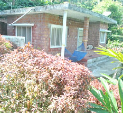 Cottage