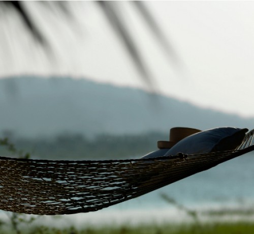 Hammock Hammock
