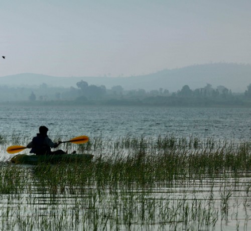 Kayaking Kayaking