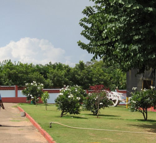 Lawns Lawns