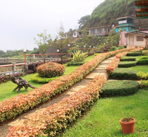 Lush green lawns Lush green lawns
